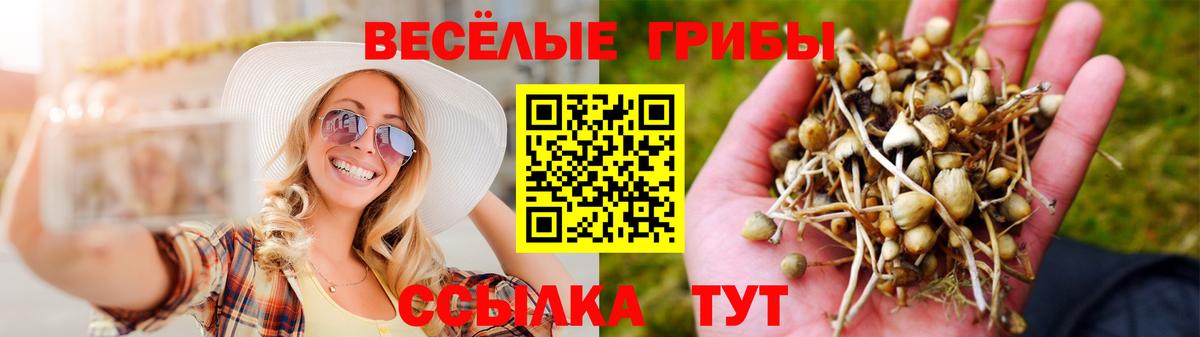 Псилоцибиновые грибы Psilocybine cubensis Фурманов